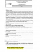 El proceso de produccion Adidas, Nike y Olympia