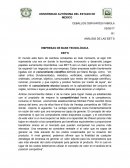 LAS GRANDES EMPRESAS DE BASE TECNOLÓGICA