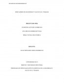 EL PROGRAMA DE ESPECIALIZACIÓN EN GERENCIA DE LA SEGURIDAD Y SALUD EN EL TRABAJO