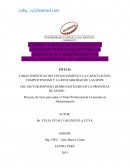 CARACTERÍSTICAS DEL FINANCIAMIENTO, LA CAPACITACION, COMPETITIVIDAD Y LA RENTABILIDAD DE LAS MYPEDEL SECTOR SERVICIO, RUBRO HOTELERO DE LA PROVINCIA DE SATIPO