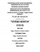 EJEMPLO DE COMO HACER UN PLAN DE NEGOCIO