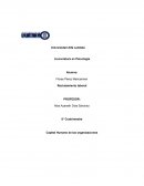 Análisis de puesto. Capital Humano de las organizaciones
