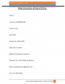 Tema: “Trabajo práctico Nº 1” Unidad 1 ¿Qué es la psicología evolutiva?