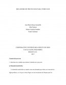 EN QUE CONSISTE EL MECANISMO DE PROTECCION PARA VEHICULOS