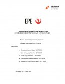 LA DIVISIÓN DE ESTUDIOS PROFESIONALES PARA EJECUTIVOS