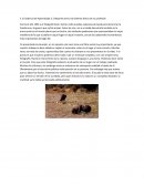 Evidencia de Aprendizaje 3.1 Reporte acerca de dilemas éticos de su profesión