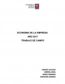 ECONOMIA DE LA EMPRESA Trabajo de campo