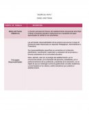 Perfil del director de establecimiento educacional