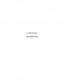 El gran Proyceto de investigacion