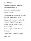 Espacio Curricular: Practicas Profesionalizantes II