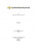 Opinion de La franja amarilla