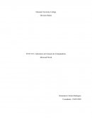 Laboratorio de Literacia de Computadoras