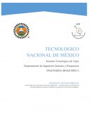 Proyección de un sistema de gestión ambiental para la Empresa de Productos Lácteos Escambray