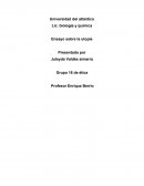 Ensayo simple sobre la utopía