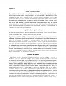 Como se da Los siete Saberes necesarios para la educación del futuro