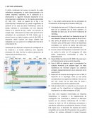 Una amplia visión general de las actividades de normalización 5G