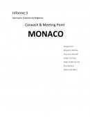 El Lavado en túnel Water Wizard de Coleman Hanna