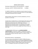 Amparo constitucional contra abusos y violación de derechos fundamentales