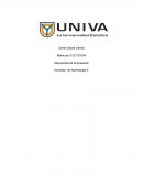 El producto y su clasificación. Shampoo Pantene