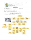 Desarrollo, Modernización y Secularización