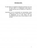 Trabajo analfabetizacion