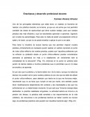 La Enseñanza y desarrollo profesional docente