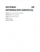 TRABAJO ACADEMICO - SISTEMAS DE INFORMACION GERENCIAL