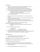 HABEAS CORPUS EJEMPLO