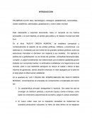 Cuales osn los Problemas sociales TLC