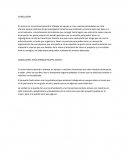 CONCLUSIÓN: JESÚS ENRIQUE MARFIL ANOTA