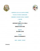 Trabajo NECESIDADES HIDRICAS DE LA CEBOLLA