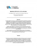 Bromación de acetanilida resumen