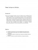 Tema: Inteligencias Múltiples