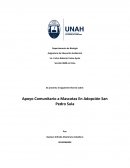 Apoyo Comunitario a Mascotas En Adopción San Pedro Sula