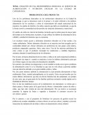 CREACIÓN DE UNA MICROEMPRESA DEDICADA AL SERVICIO DE ALIMENTACIÓN Y NUTRICIÓN ESCOLAR EN LA CIUDAD DE CARIAMANGA.