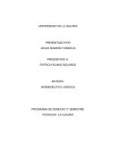 PROGRAMA DE DERECHO 3° SEMESTRE