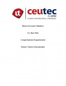 Comportamiento Organizacional. Ensayo: Valores Generacionales