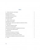 Análisis y descripción a nivel empresa