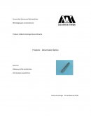 Una Definición metrológica de desarmador óptipo