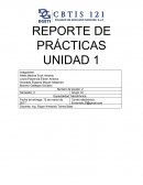 REPORTE DE PRÁCTICAS UNIDAD 1