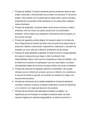 Principios del derecho ambiental. Resumen