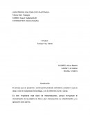 El ensayo que se presenta a continuación pretende demostrar y ampliar lo que se dicta o dice en la epístola de Santiago