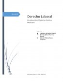 COMO ACTUA EL DERECHO LABORAL