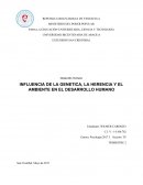 LA INFLUENCIA DE LA GENETICA, LA HERENCIA Y EL AMBIENTE EN EL DESARROLLO HUMANO