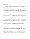 ENFERMERIA DE LA VEJEZ