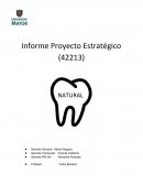 Informe Proyecto Estratégico de negocios