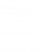 DECENIO DE LAS PERSONAS CON DISCAPACIDAD EN EL PERÚ