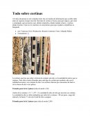 Para los espacios reducidos se recomiendan telas livianas como sedas, gasas y colores claros