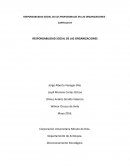 Responsabilidad social de los frofesionales