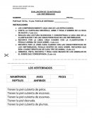EVALUACIÓN DE CS.NATURALES LOS VERTEBRADOS